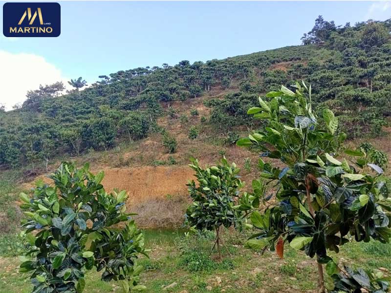 Bán lô đất sào đường Phan Huy Ích - Lộc Châu